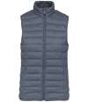 NS6006 Native Spirit Ladies Light Recycled Bodywarmer mineral grey colour image